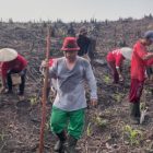 Harga Beras Melambung, Dewan minta Pemerintah ambil Langkah Antisipasi