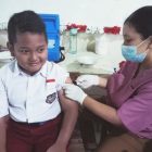 Dewan Apresiasi Pemerintah Berikan Suntikan Japanese Encephalitis (Je) Ke Sekolah-sekolah