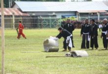 Bupati Jarot Terpukau Saksikan Atraksi Pencak Silat Massal