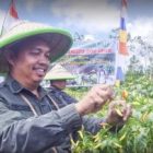 Wabup Sintang Panen Cabe di Desa Kenyabur Baru